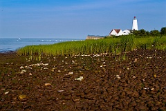 Lynde Point Light During Low Tide in Connecticut